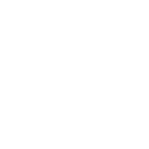 Salient logo - premium WordPress tema med fleksible designmuligheder