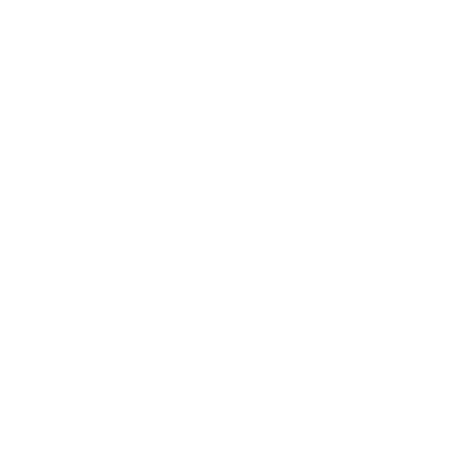 Woo logo - innovative løsninger til eCommerce og online butikker
